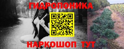 каннабис Кингисепп