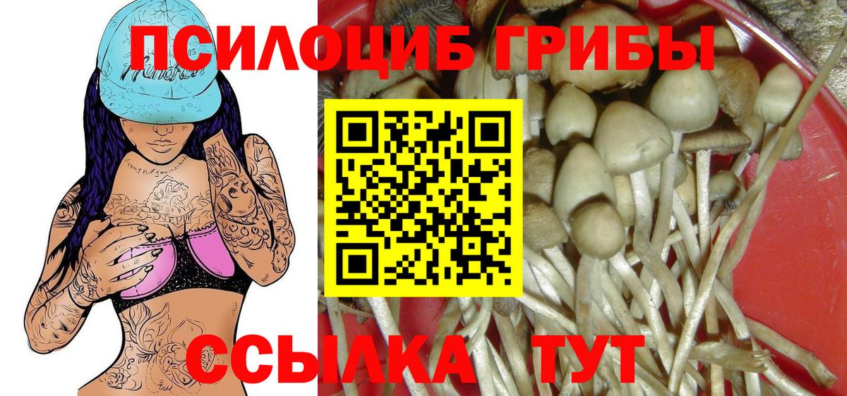Кузнецк  где продают наркотики  Вход с VPN  Галлюциногенные грибы мицелий 