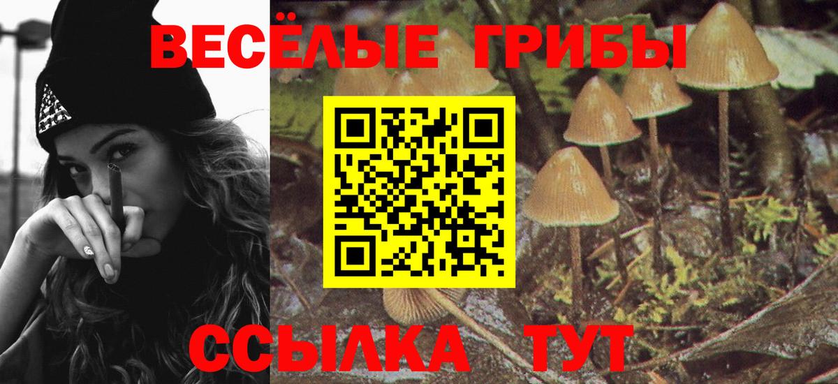 COCAIN  Вход с VPN  ГАШИШ  Кузнецк  Гашиш  Марихуана  Мефедрон  
