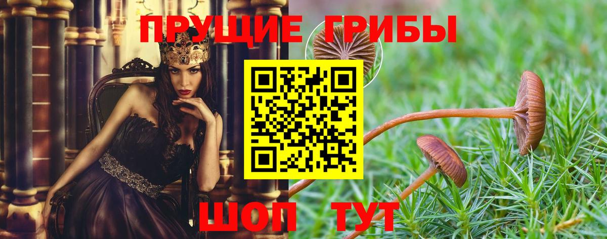Галлюциногенные грибы ЛСД Кузнецк