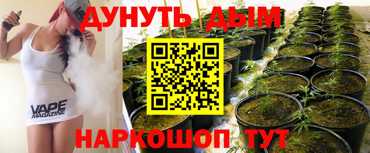 Шишки марихуана Amnesia  Вход с VPN  Каннабис LSD WEED  Кузнецк 